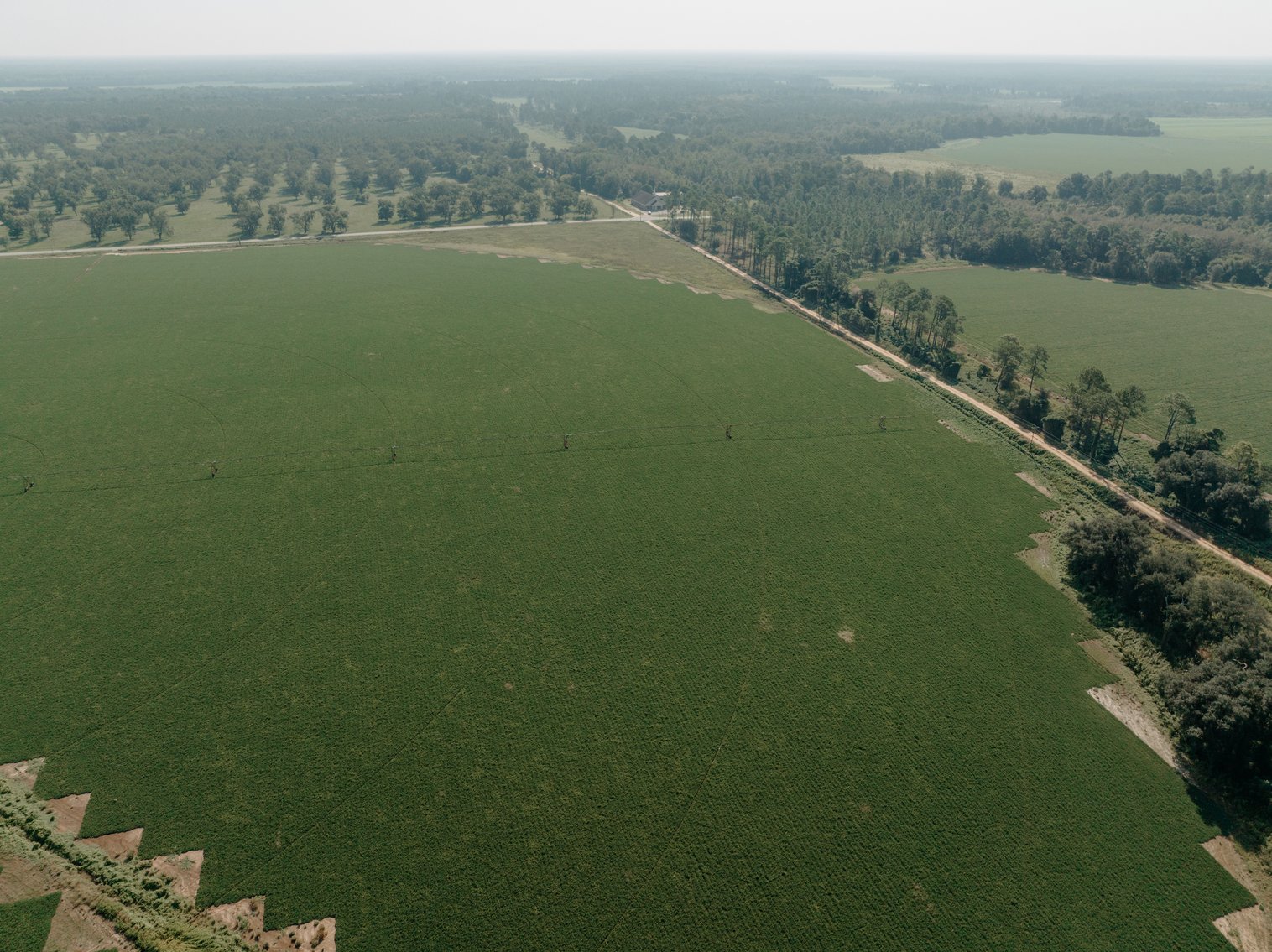 Image for 81.54+/- Acres Located in Calhoun County – The Estate of Curtis B. Adams