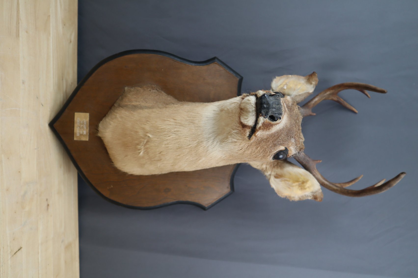 Image for March Gallery - Collectibles, Coins, Furniture and More!