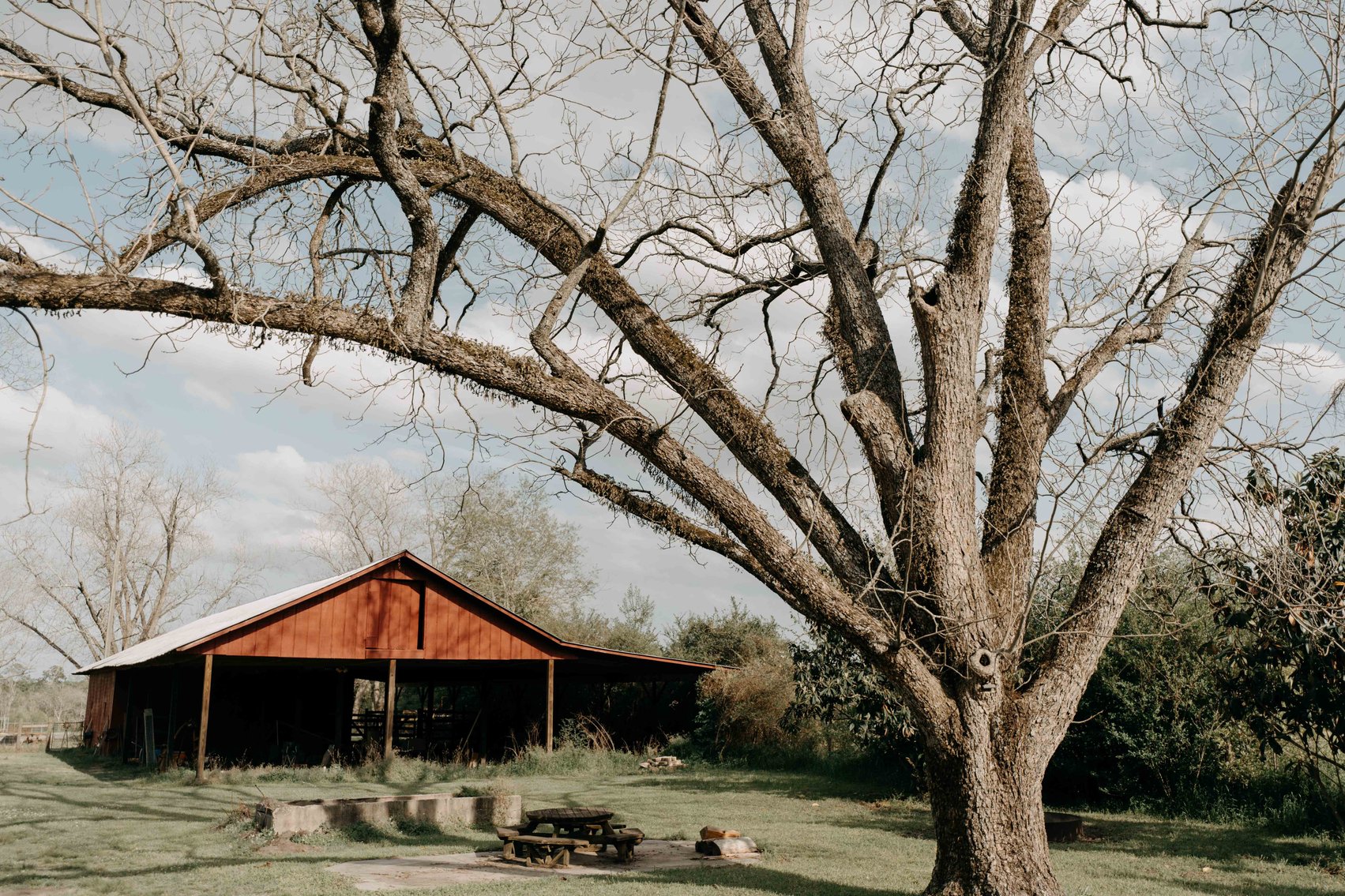 Image for Southern Mitchell County Home on 28.90+/- Acres