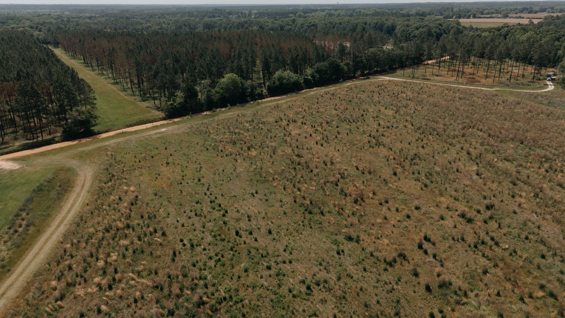 Image for *UNDER CONTRACT * 90.3 +/- Acres and Quaint Home in Tift County