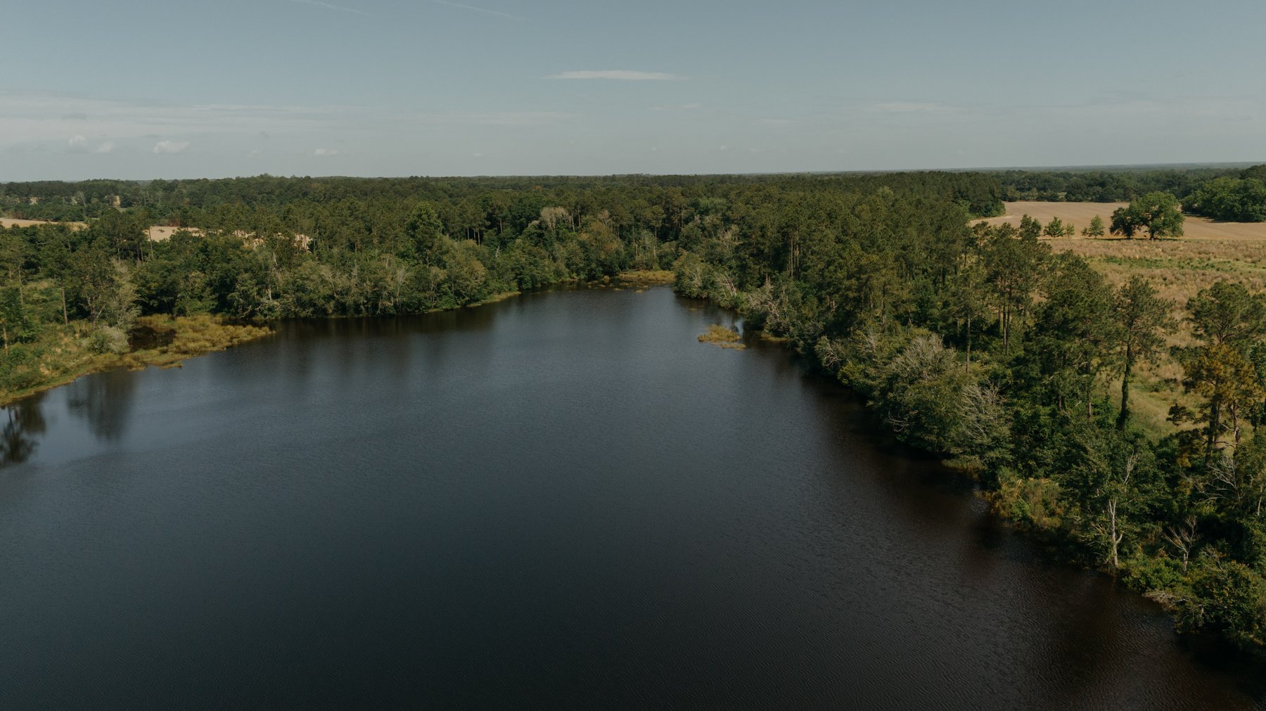 Image for *UNDER CONTRACT * 90.3 +/- Acres and Quaint Home in Tift County