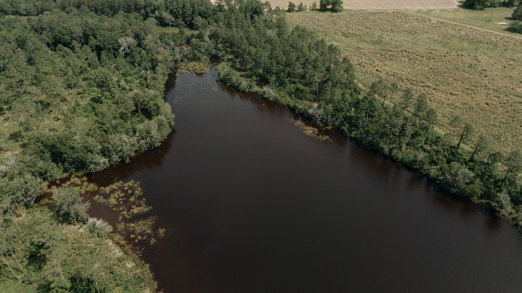 Image for *UNDER CONTRACT * 90.3 +/- Acres and Quaint Home in Tift County