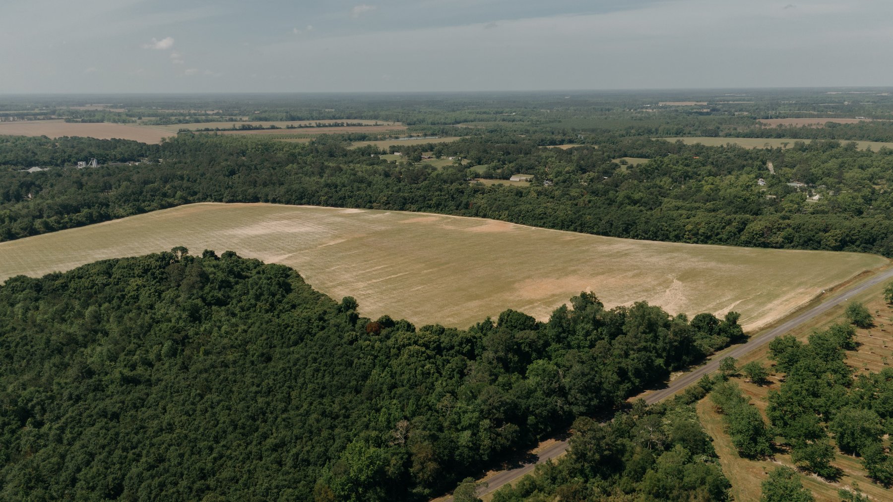 Image for 143 +/- Acre Investment Opportunity in Northern Thomas County, Georgia