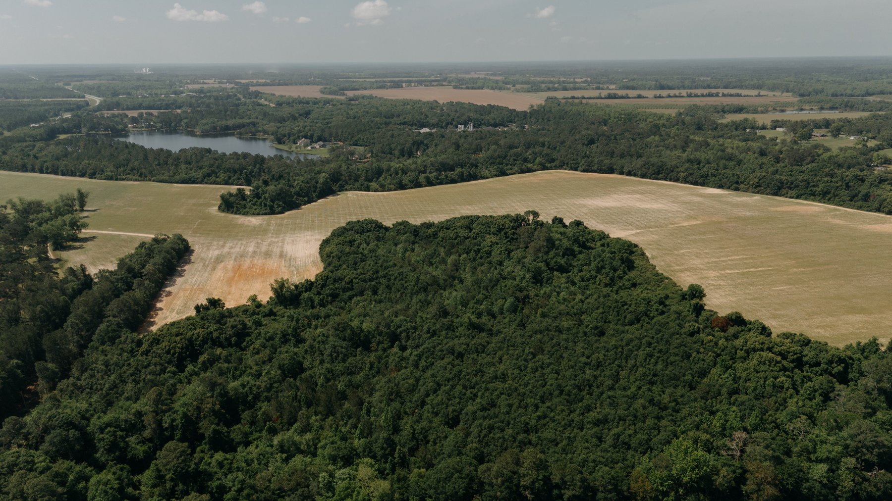 Image for 143 +/- Acre Investment Opportunity in Northern Thomas County, Georgia