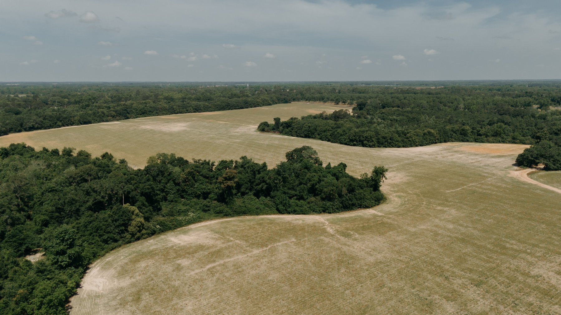 Image for 143 +/- Acre Investment Opportunity in Northern Thomas County, Georgia