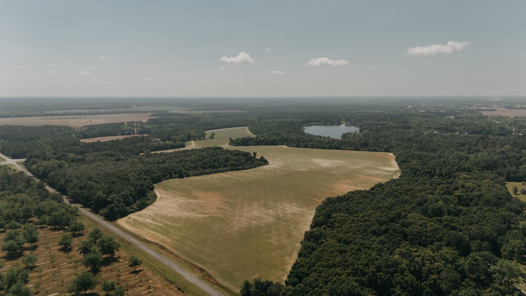 Image for 143 +/- Acre Investment Opportunity in Northern Thomas County, Georgia