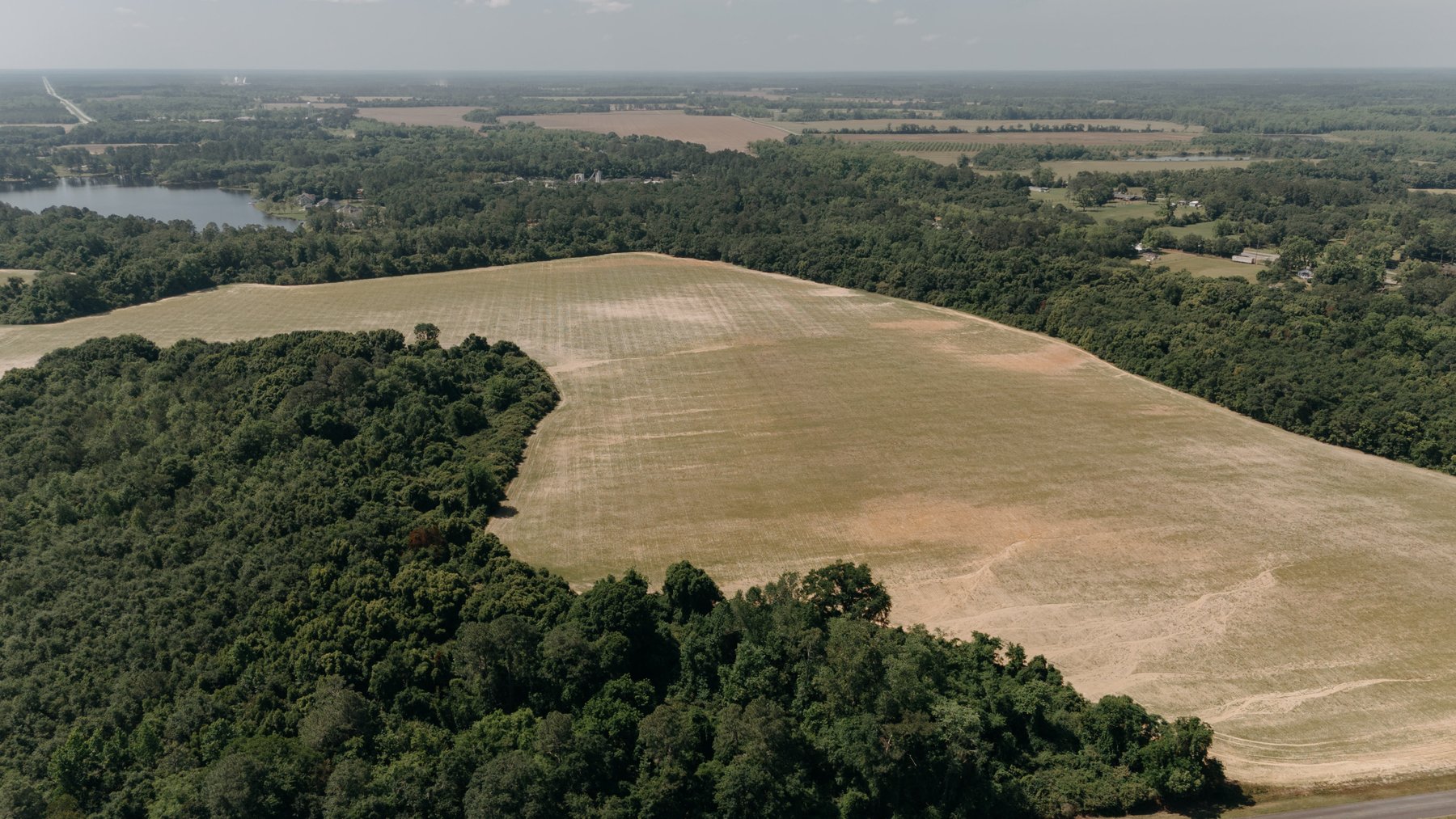 Image for 143 +/- Acre Investment Opportunity in Northern Thomas County, Georgia