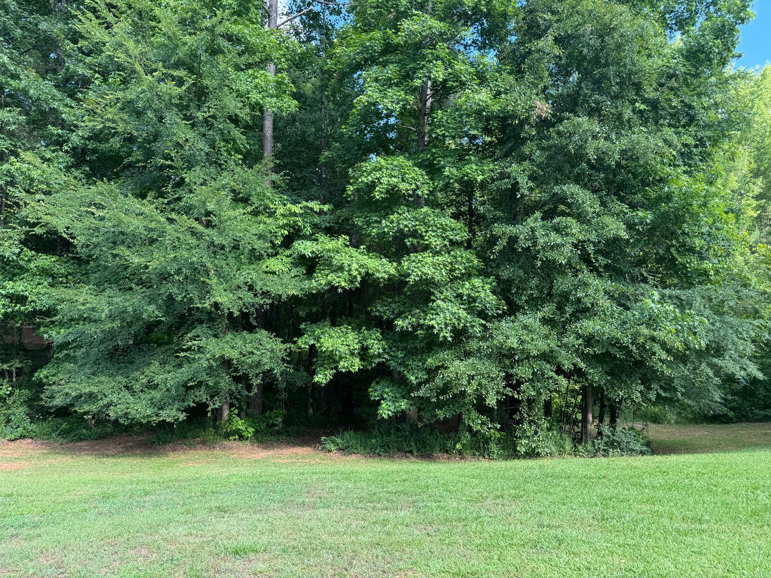 Image for Farrington Subdivision Investment Auction: 1.52 Acres Residential Lot 