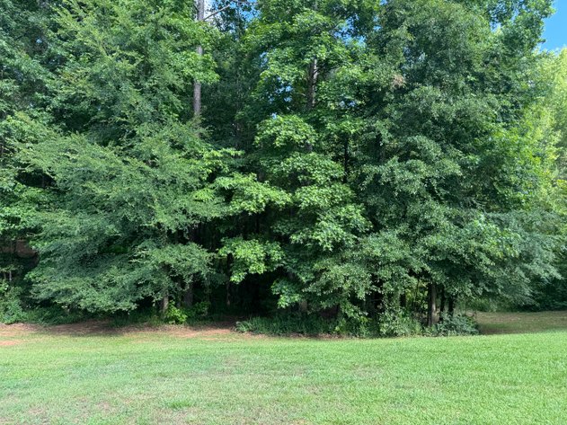 Image for Farrington Subdivision Investment Auction: 1.52 Acres Residential Lot 