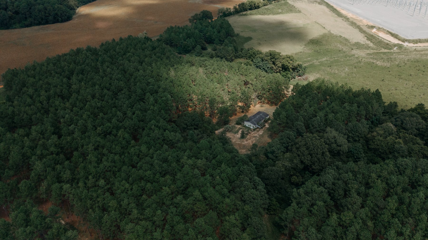 Image for 77.2 +/- Acre Sumter County Retreat: Restored Farmhouse, Hunting Land, and Timber Offered in Four Tracts