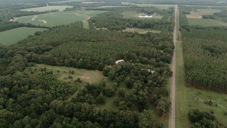 Image for 77.2 +/- Acre Sumter County Retreat: Restored Farmhouse, Hunting Land, and Timber Offered in Four Tracts