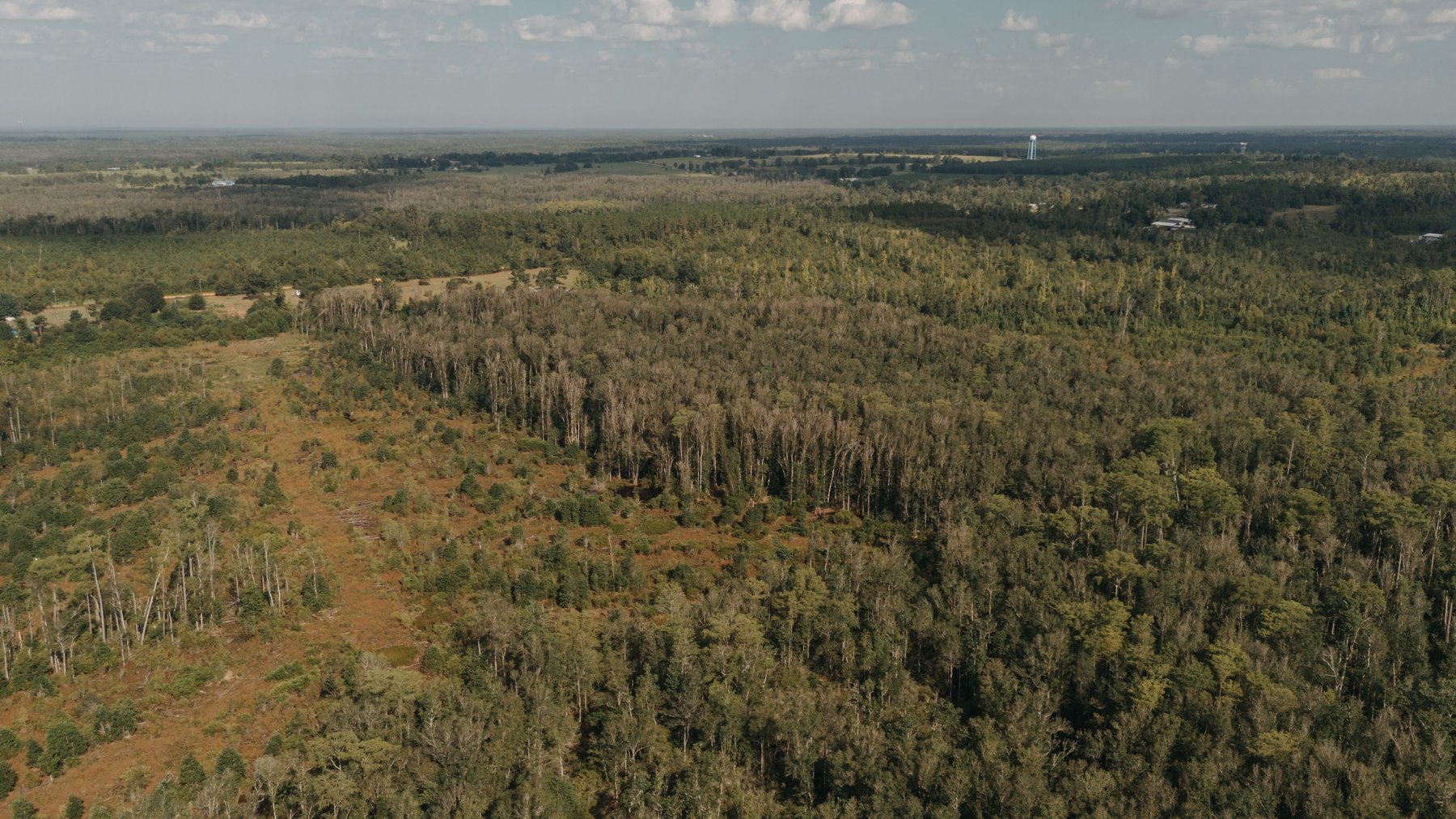 Image for 140.5 +/-  Acre Recreational Tract Jackson County, Florida