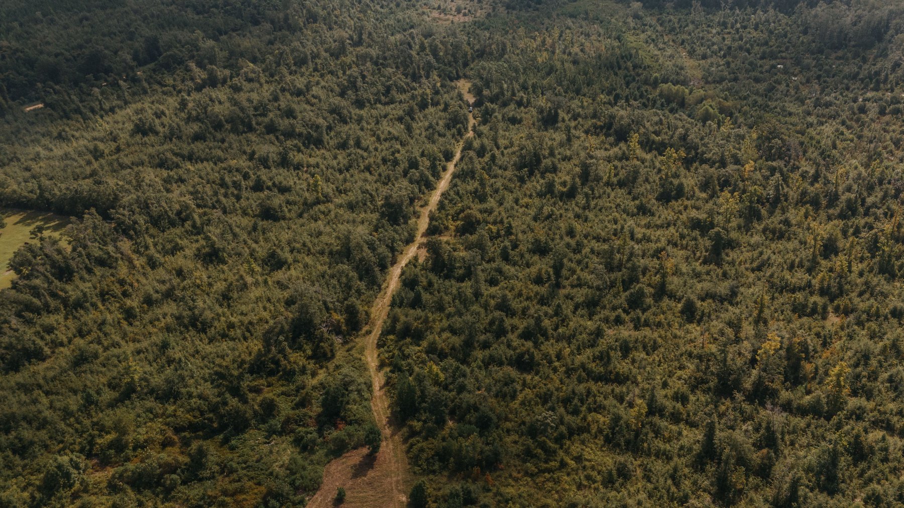 Image for 140.5 +/-  Acre Recreational Tract Jackson County, Florida