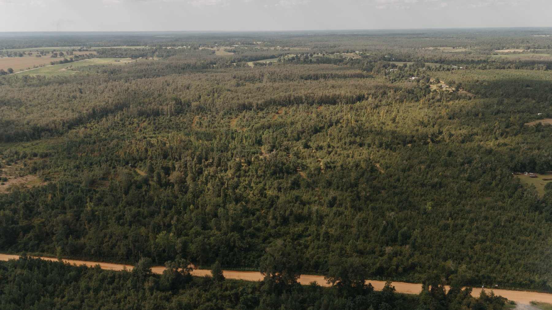 Image for 140.5 +/-  Acre Recreational Tract Jackson County, Florida