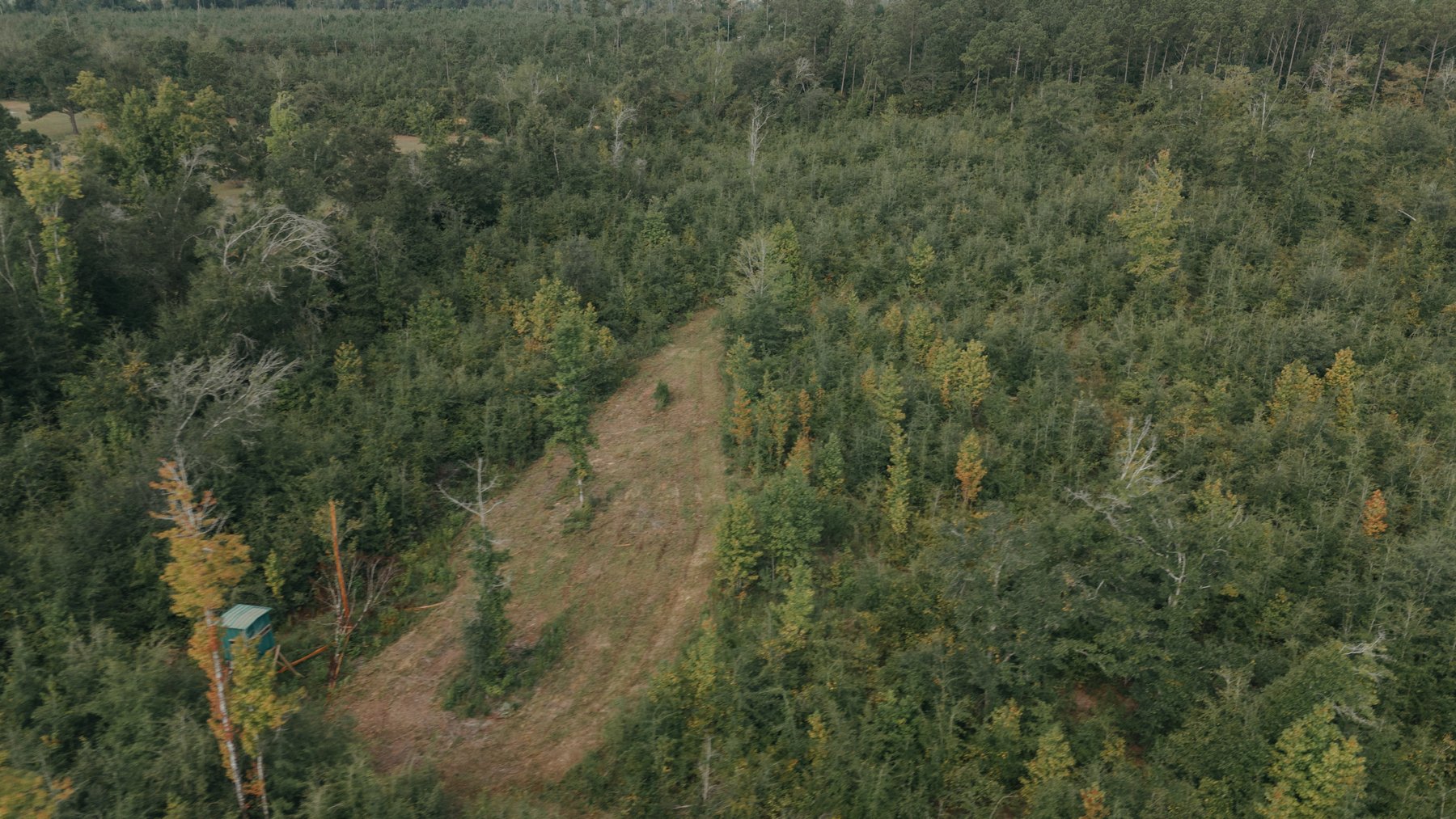 Image for 140.5 +/-  Acre Recreational Tract Jackson County, Florida