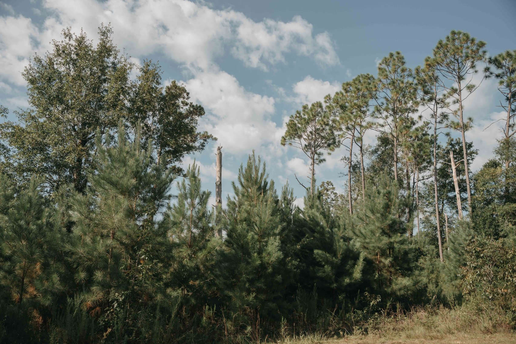 Image for 140.5 +/-  Acre Recreational Tract Jackson County, Florida