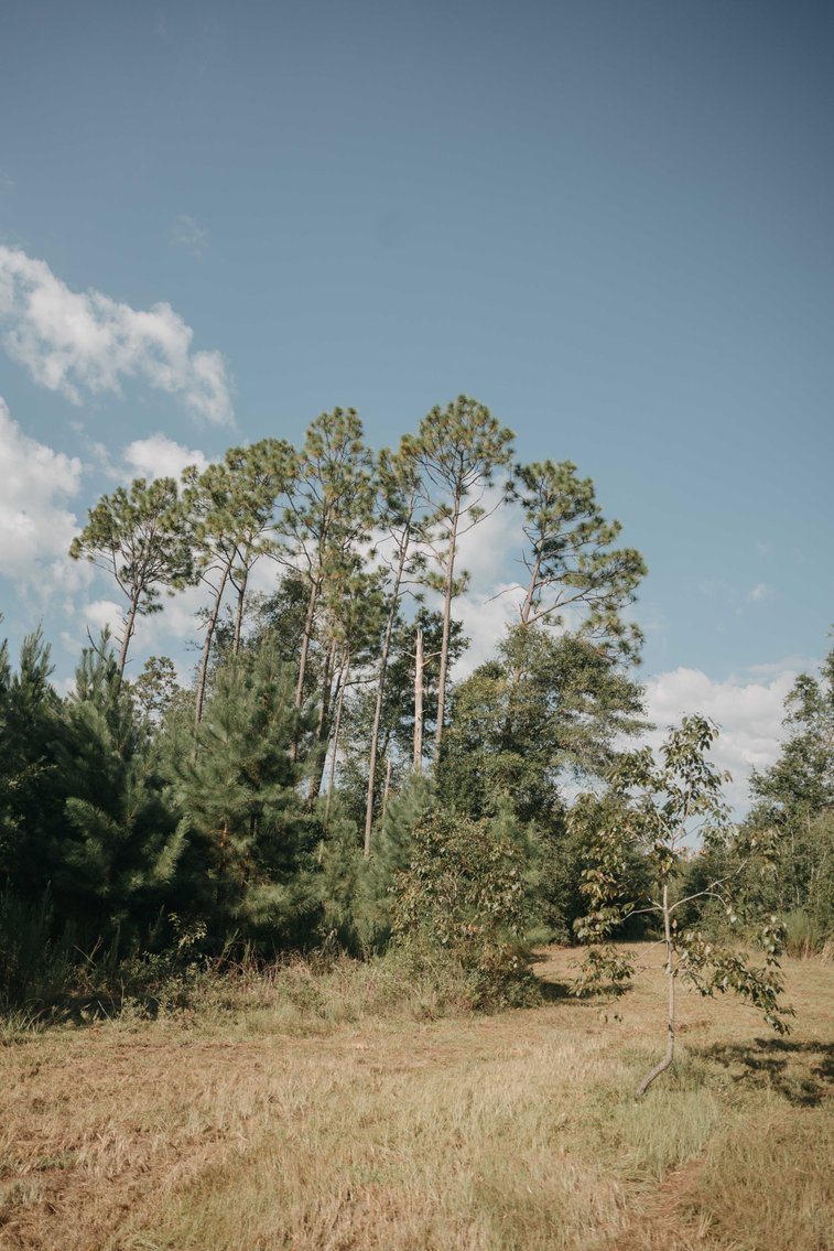 Image for 140.5 +/-  Acre Recreational Tract Jackson County, Florida