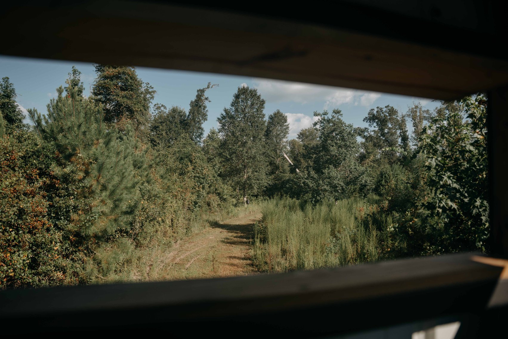 Image for 140.5 +/-  Acre Recreational Tract Jackson County, Florida