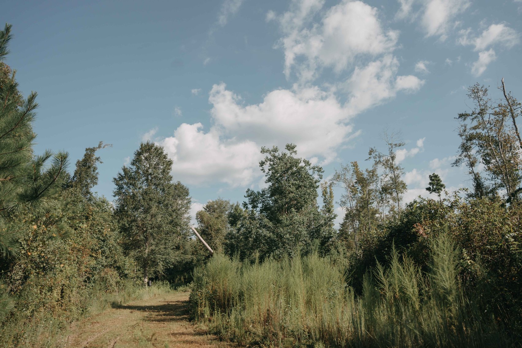 Image for 140.5 +/-  Acre Recreational Tract Jackson County, Florida