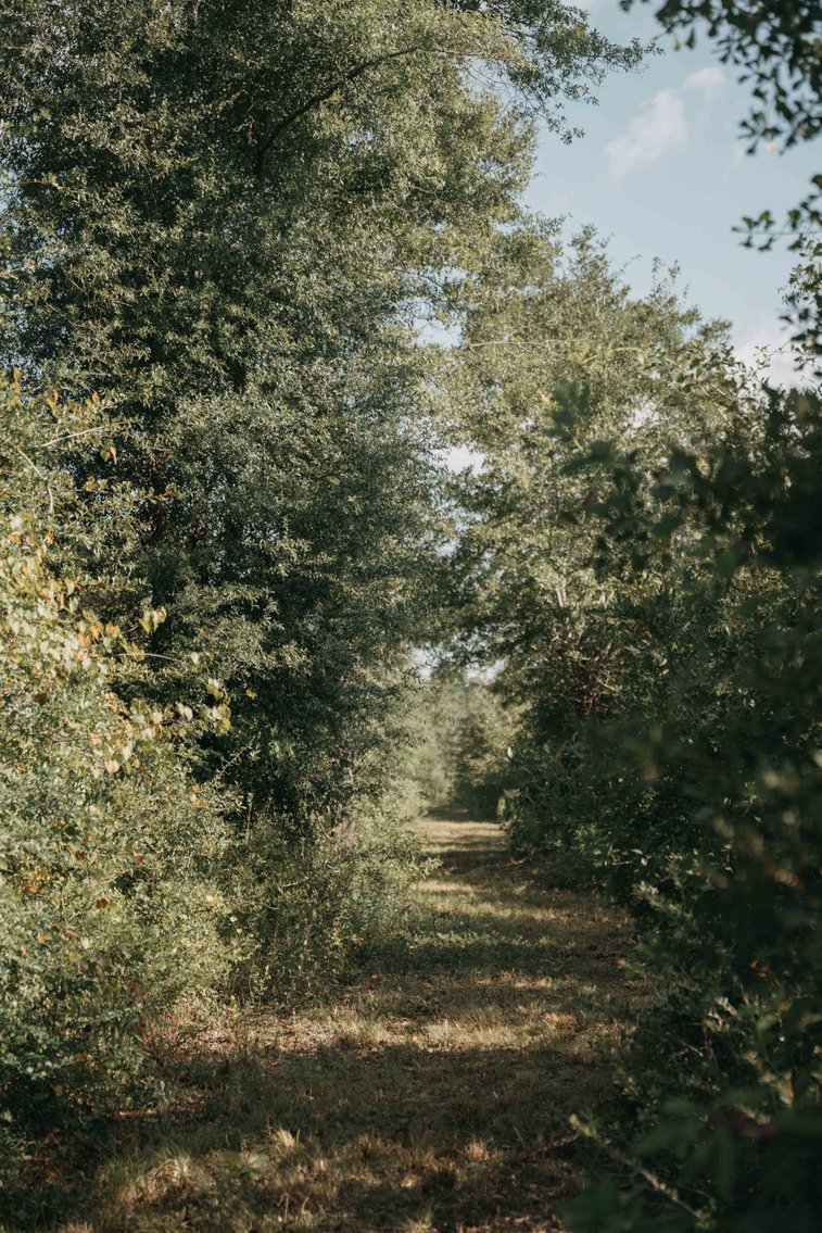 Image for 140.5 +/-  Acre Recreational Tract Jackson County, Florida