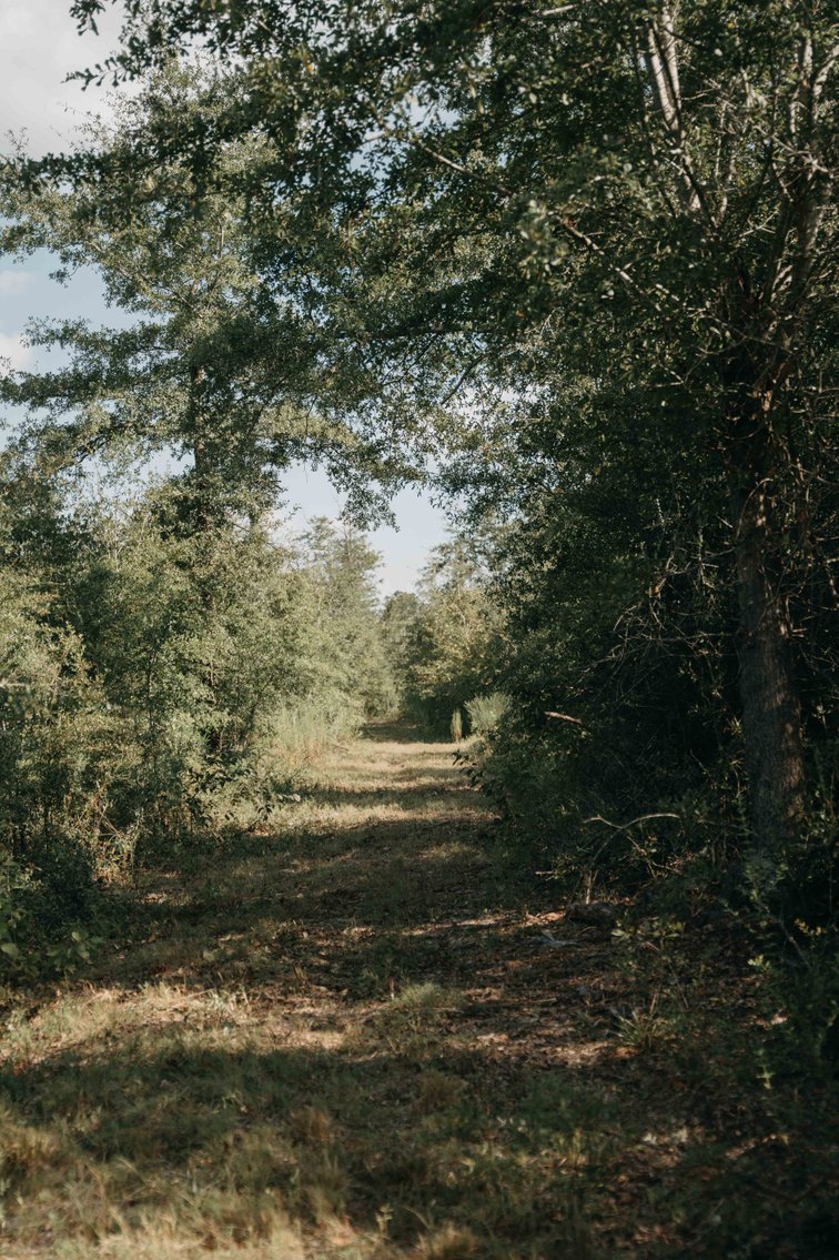 Image for 140.5 +/-  Acre Recreational Tract Jackson County, Florida