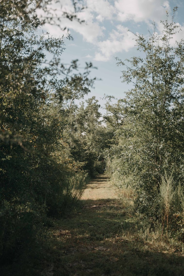 Image for 140.5 +/-  Acre Recreational Tract Jackson County, Florida