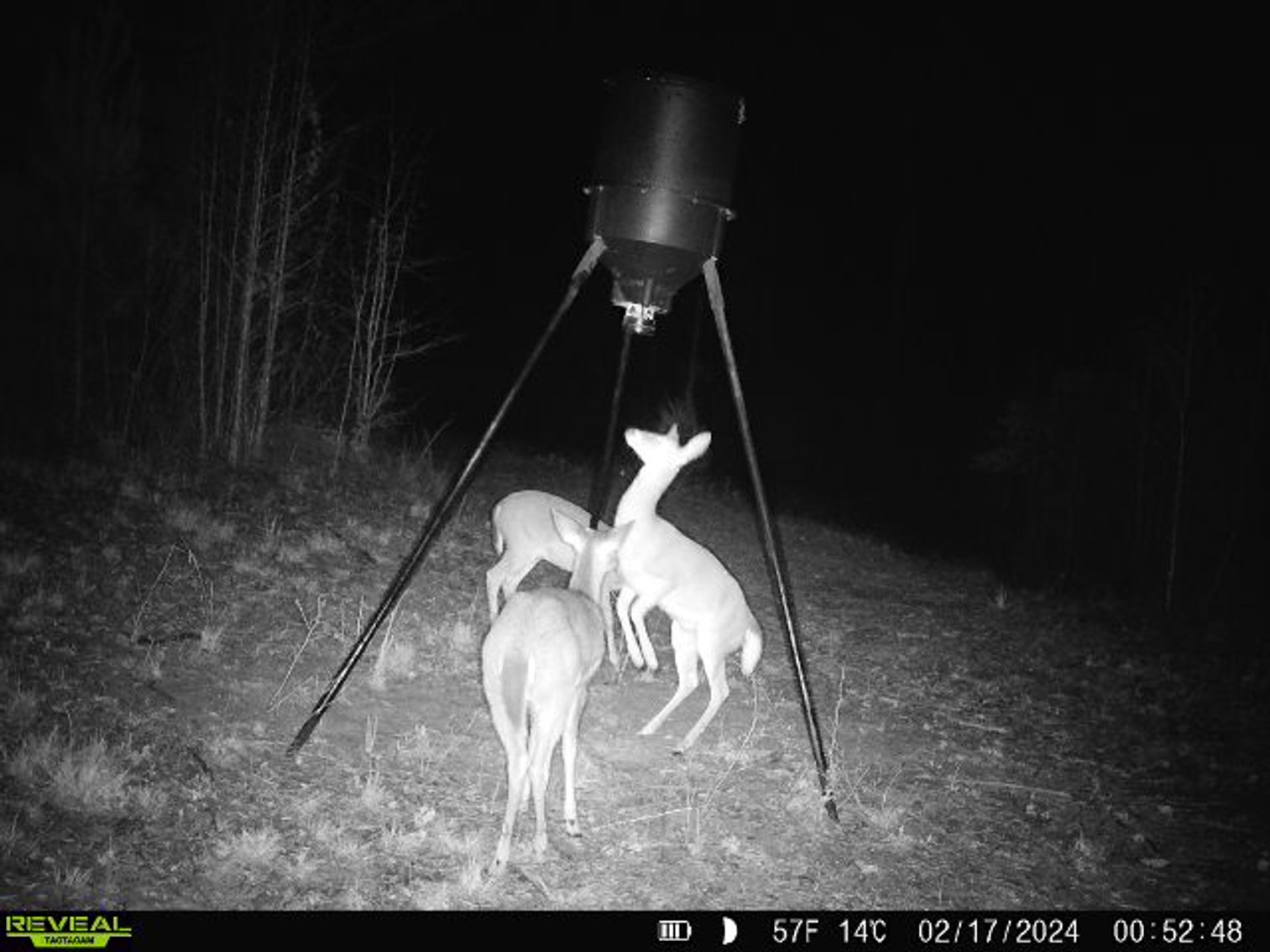 Image for 140.5 +/-  Acre Recreational Tract Jackson County, Florida