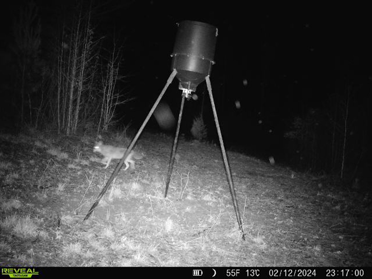 Image for 140.5 +/-  Acre Recreational Tract Jackson County, Florida