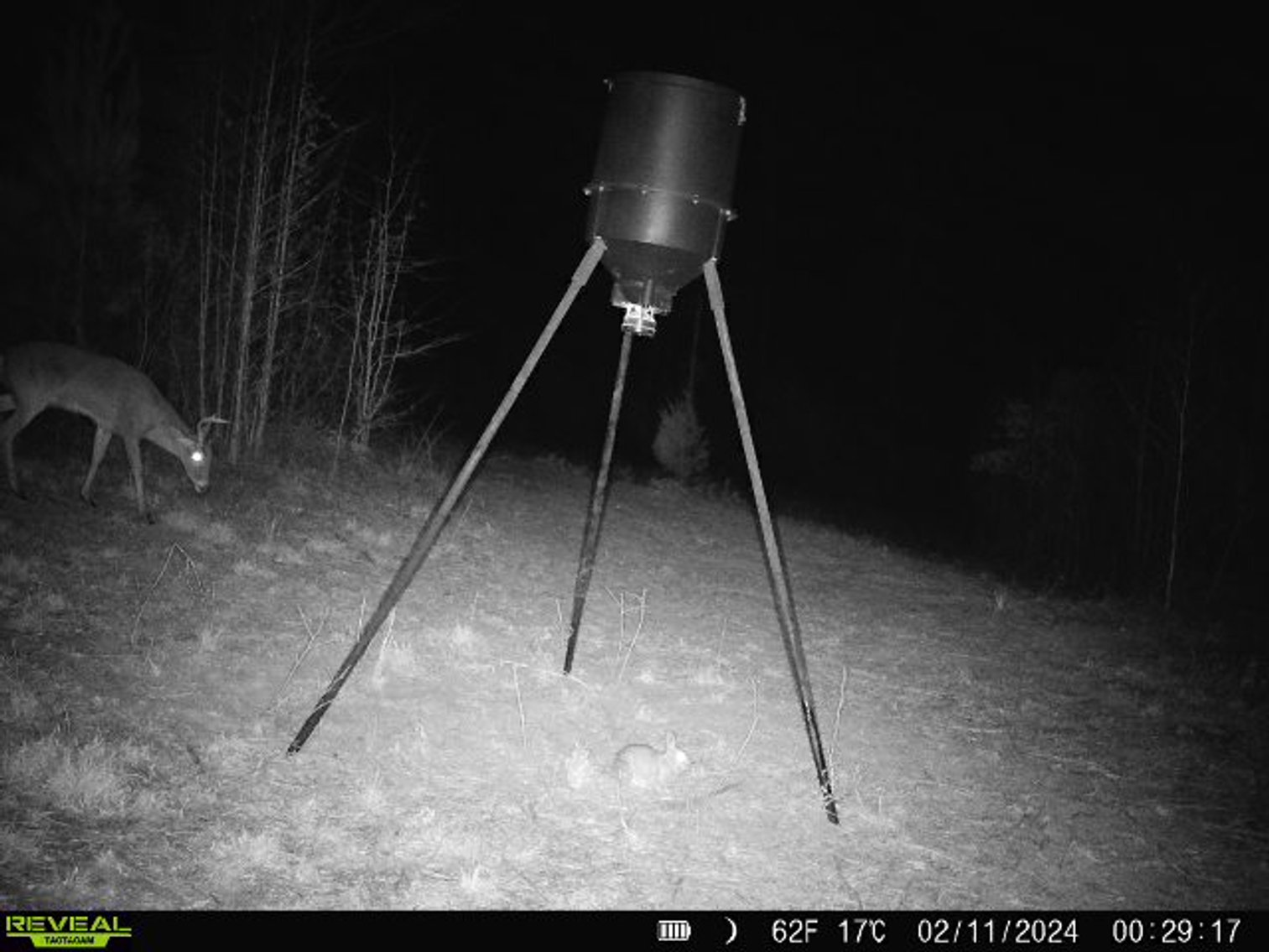 Image for 140.5 +/-  Acre Recreational Tract Jackson County, Florida