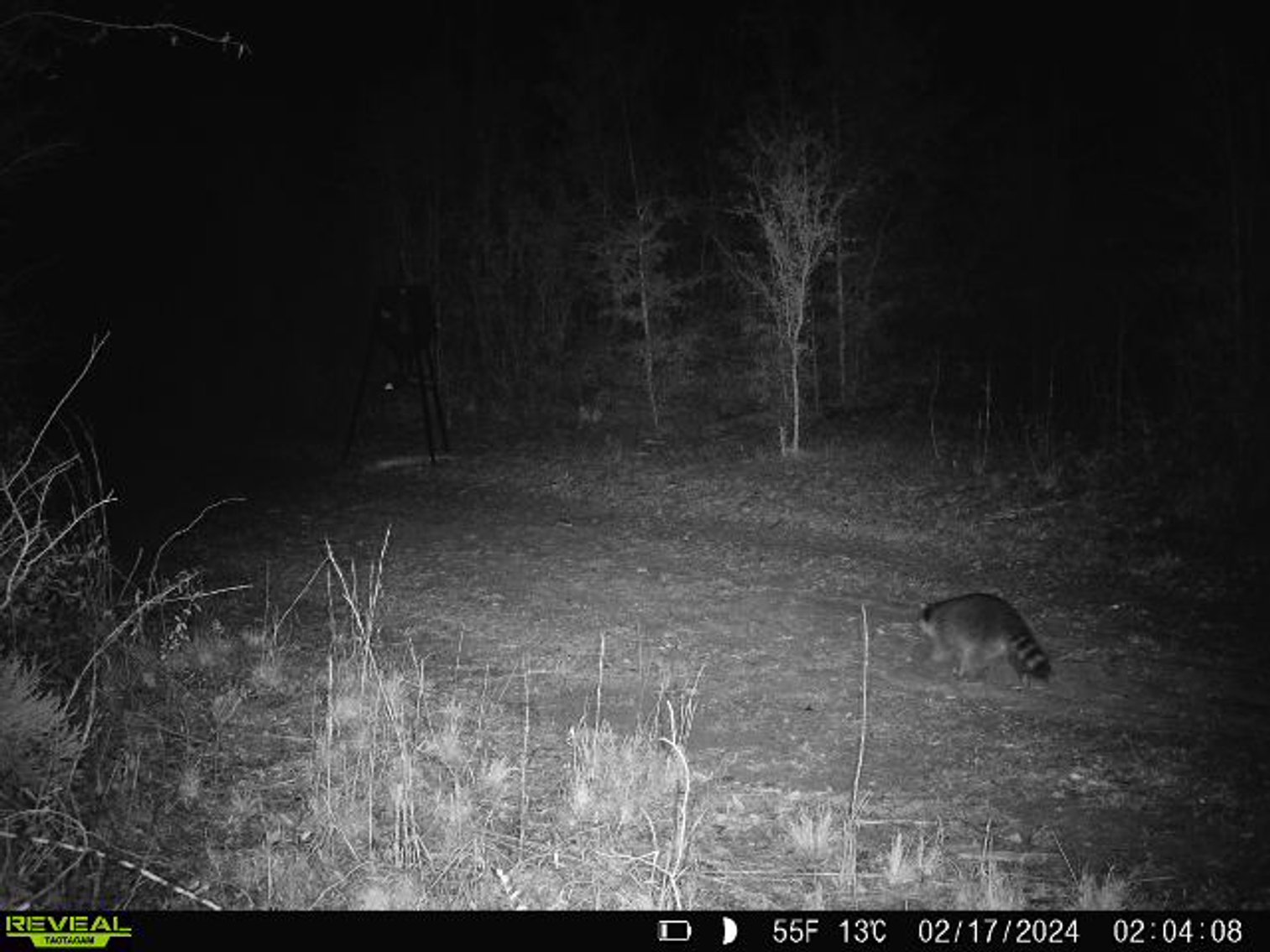 Image for 140.5 +/-  Acre Recreational Tract Jackson County, Florida