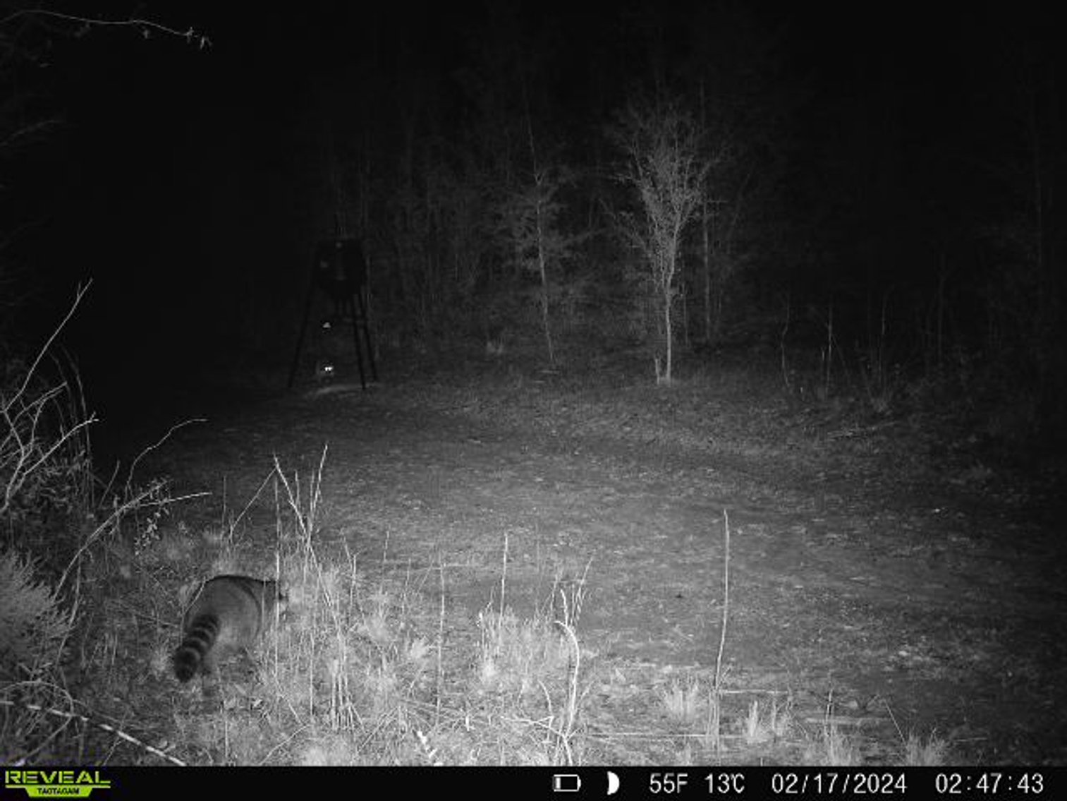 Image for 140.5 +/-  Acre Recreational Tract Jackson County, Florida