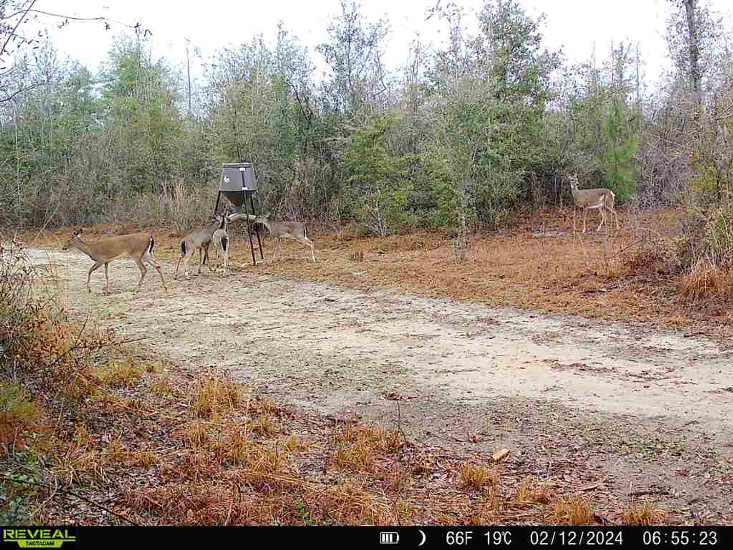 Image for 140.5 +/-  Acre Recreational Tract Jackson County, Florida