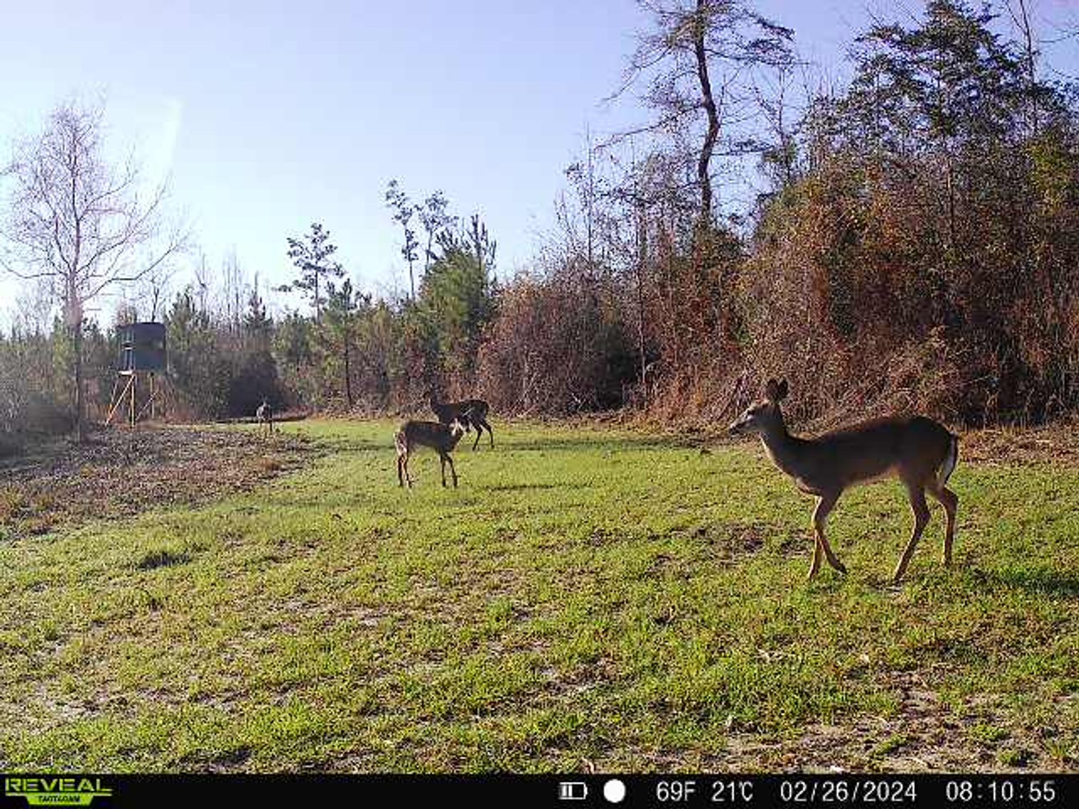 Image for 140.5 +/-  Acre Recreational Tract Jackson County, Florida