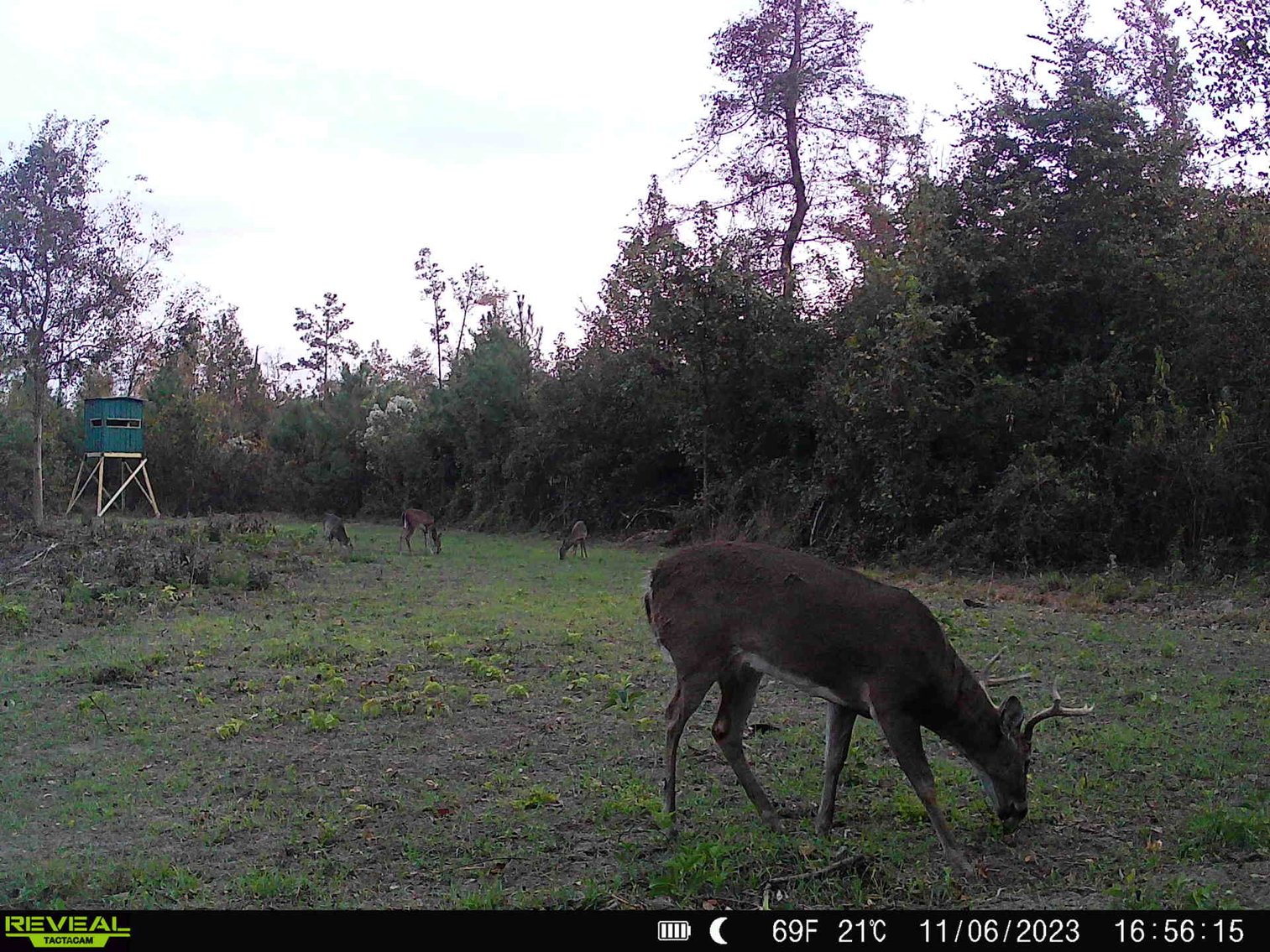 Image for 140.5 +/-  Acre Recreational Tract Jackson County, Florida