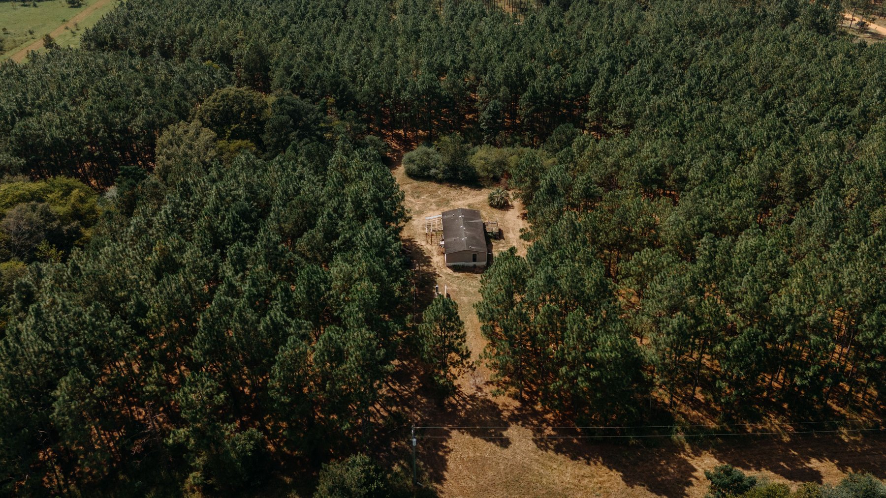 Image for 77.2 +/- Acre Sumter County Retreat: Restored Farmhouse, Hunting Land, and Timber Offered in Four Tracts