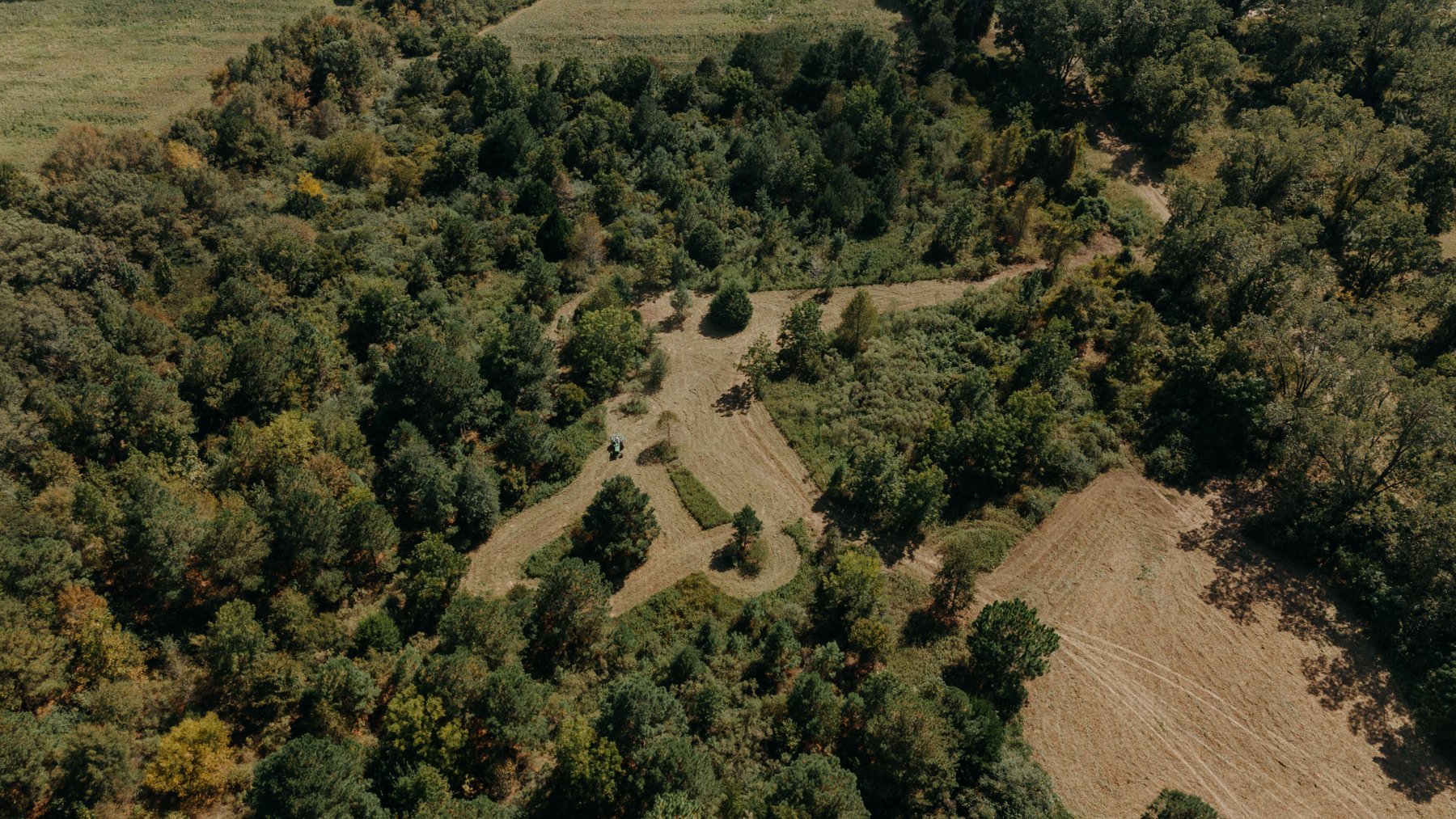 Image for 77.2 +/- Acre Sumter County Retreat: Restored Farmhouse, Hunting Land, and Timber Offered in Four Tracts