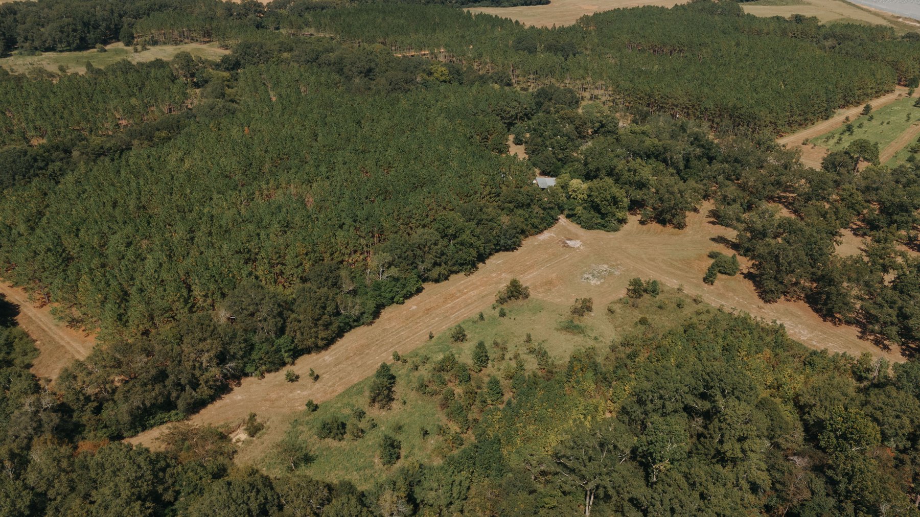 Image for 77.2 +/- Acre Sumter County Retreat: Restored Farmhouse, Hunting Land, and Timber Offered in Four Tracts