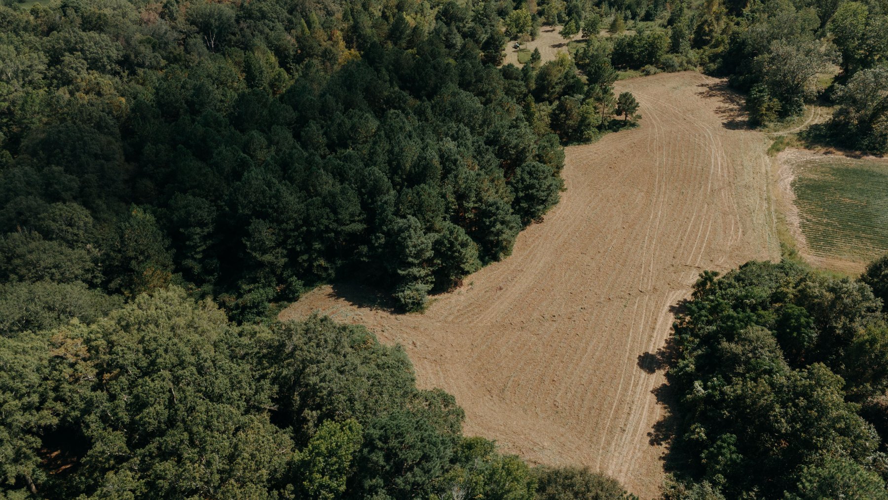 Image for 77.2 +/- Acre Sumter County Retreat: Restored Farmhouse, Hunting Land, and Timber Offered in Four Tracts