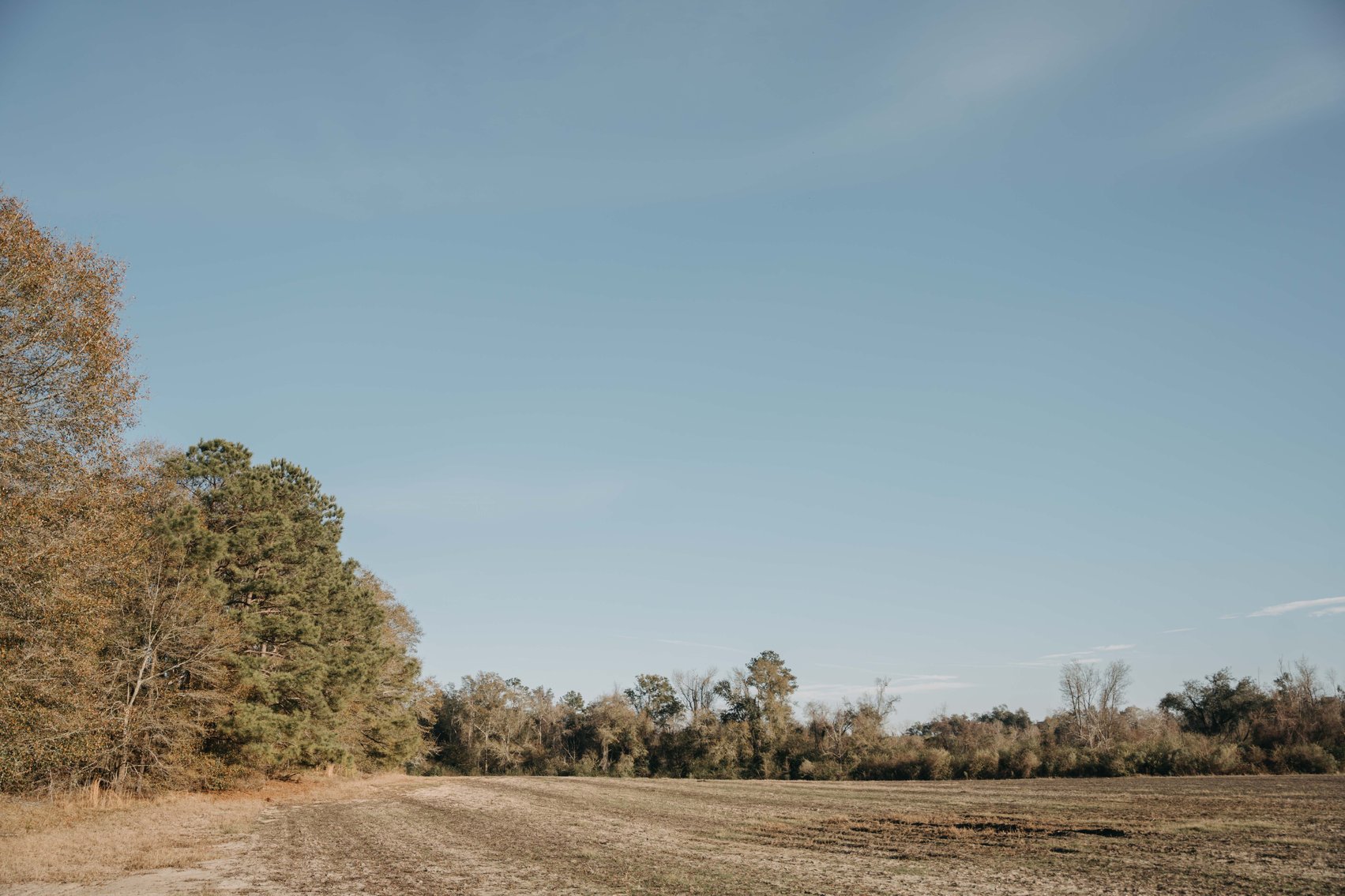 Image for *SOLD* 120 +/- Acres of Prime Agricultural and Recreational Land in Early County, GA *SOLD*