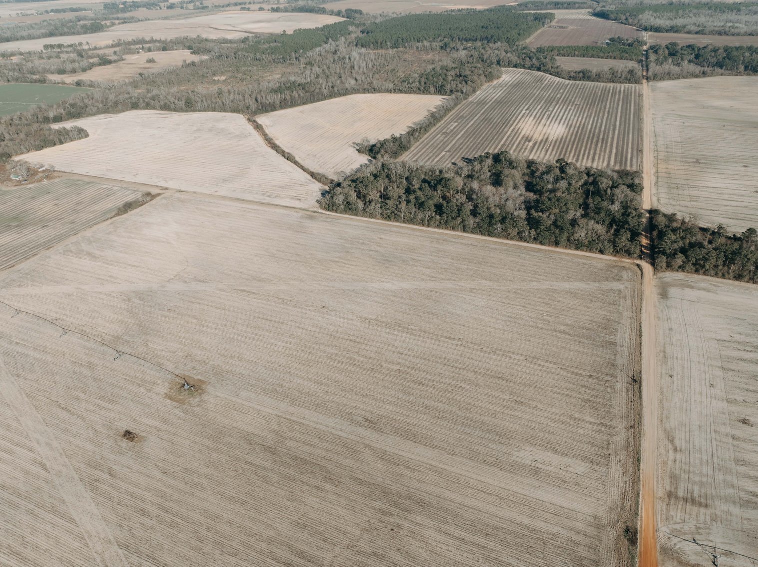 Image for *SOLD* 120 +/- Acres of Prime Agricultural and Recreational Land in Early County, GA *SOLD*