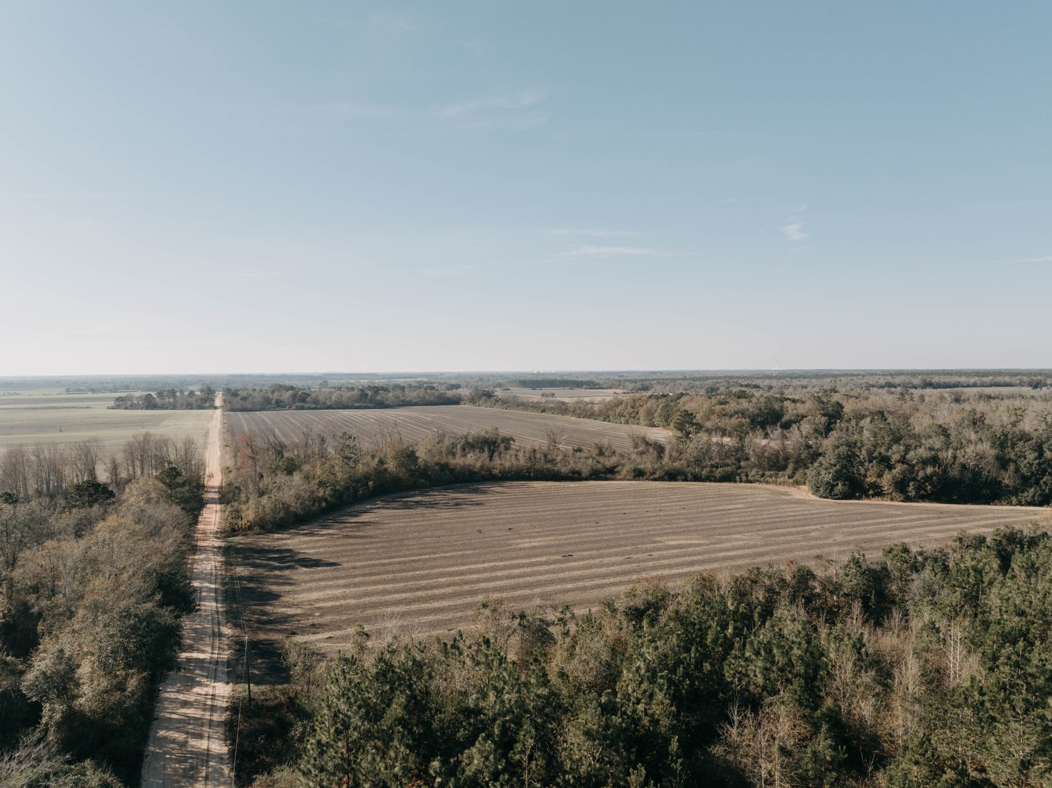 Image for *SOLD* 120 +/- Acres of Prime Agricultural and Recreational Land in Early County, GA *SOLD*