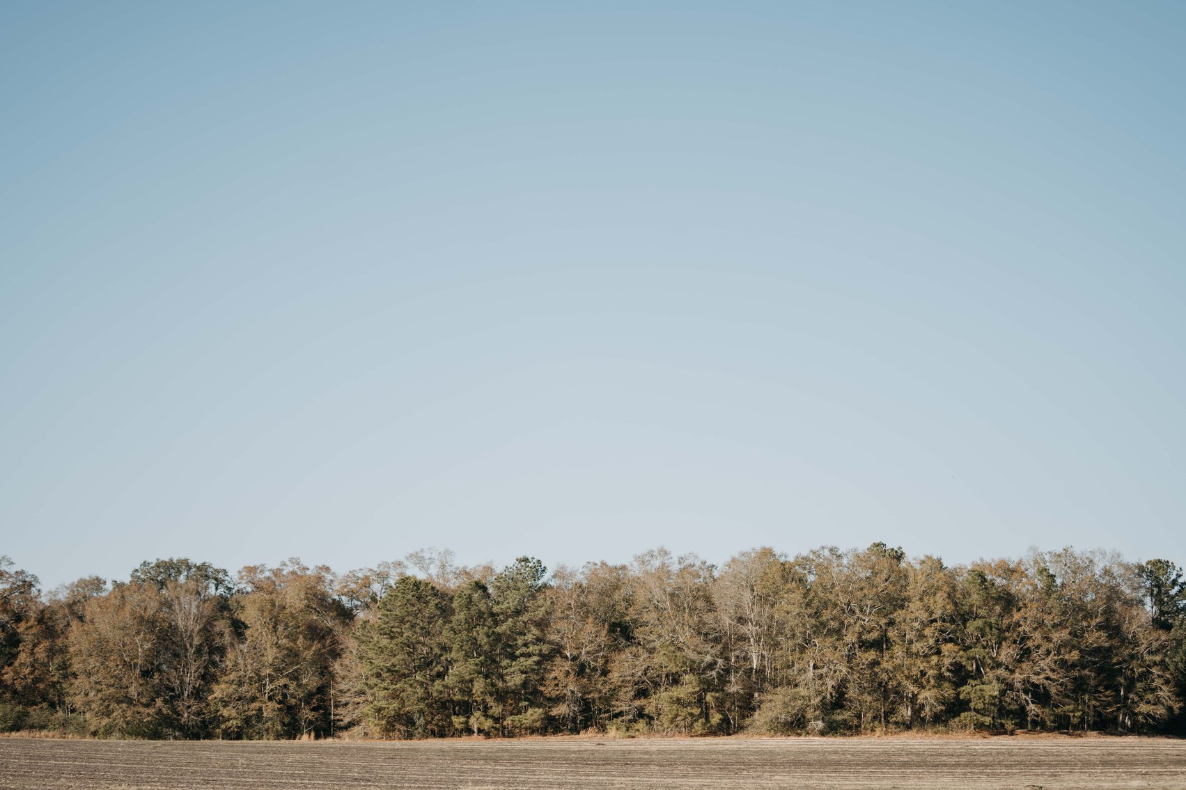 Image for *SOLD* 120 +/- Acres of Prime Agricultural and Recreational Land in Early County, GA *SOLD*