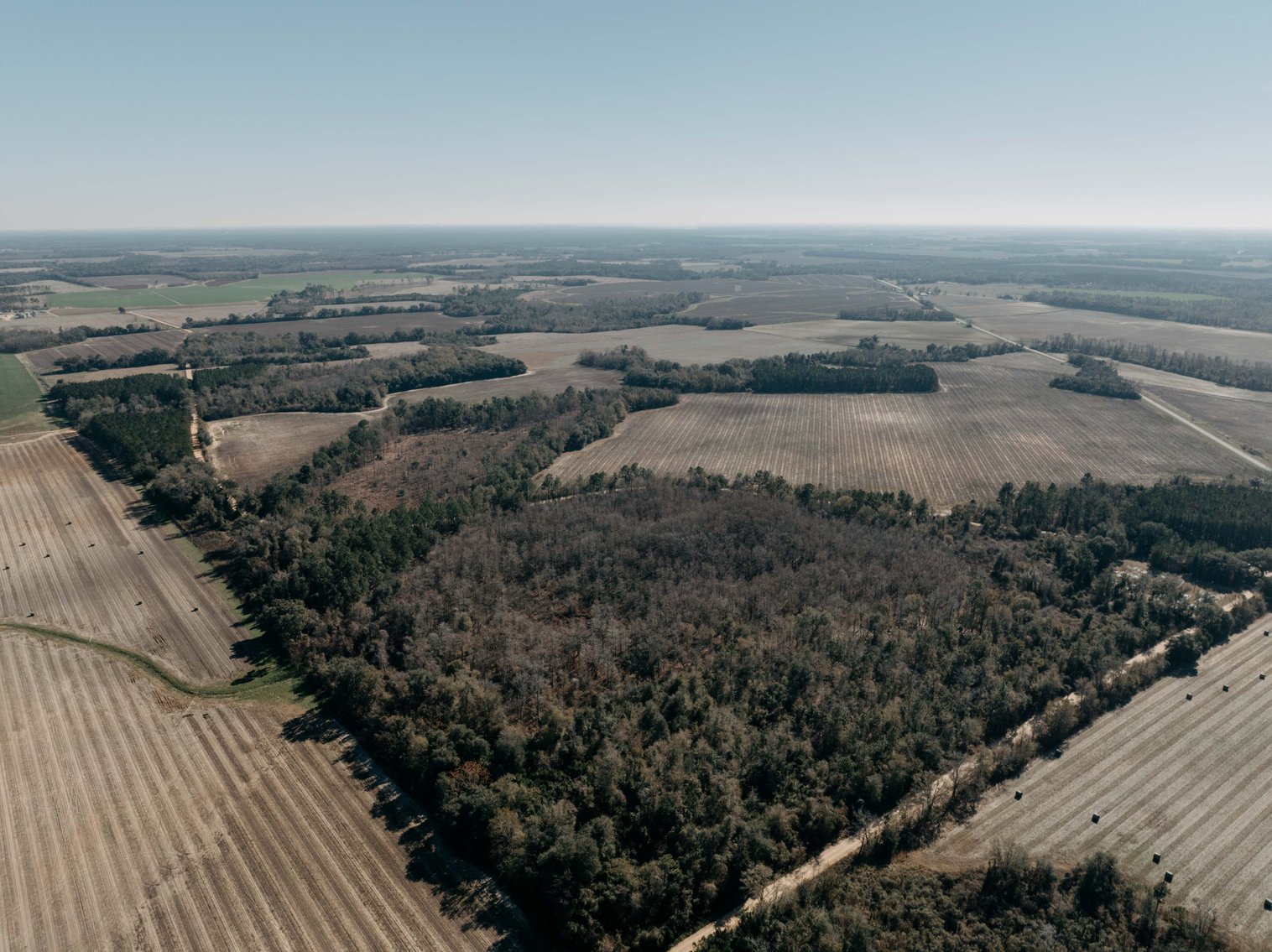 Image for *SOLD* 365.4 +/- Acres of Prime Baker County Farmland – Agricultural, Timber, and Recreational Opportunities *SOLD*