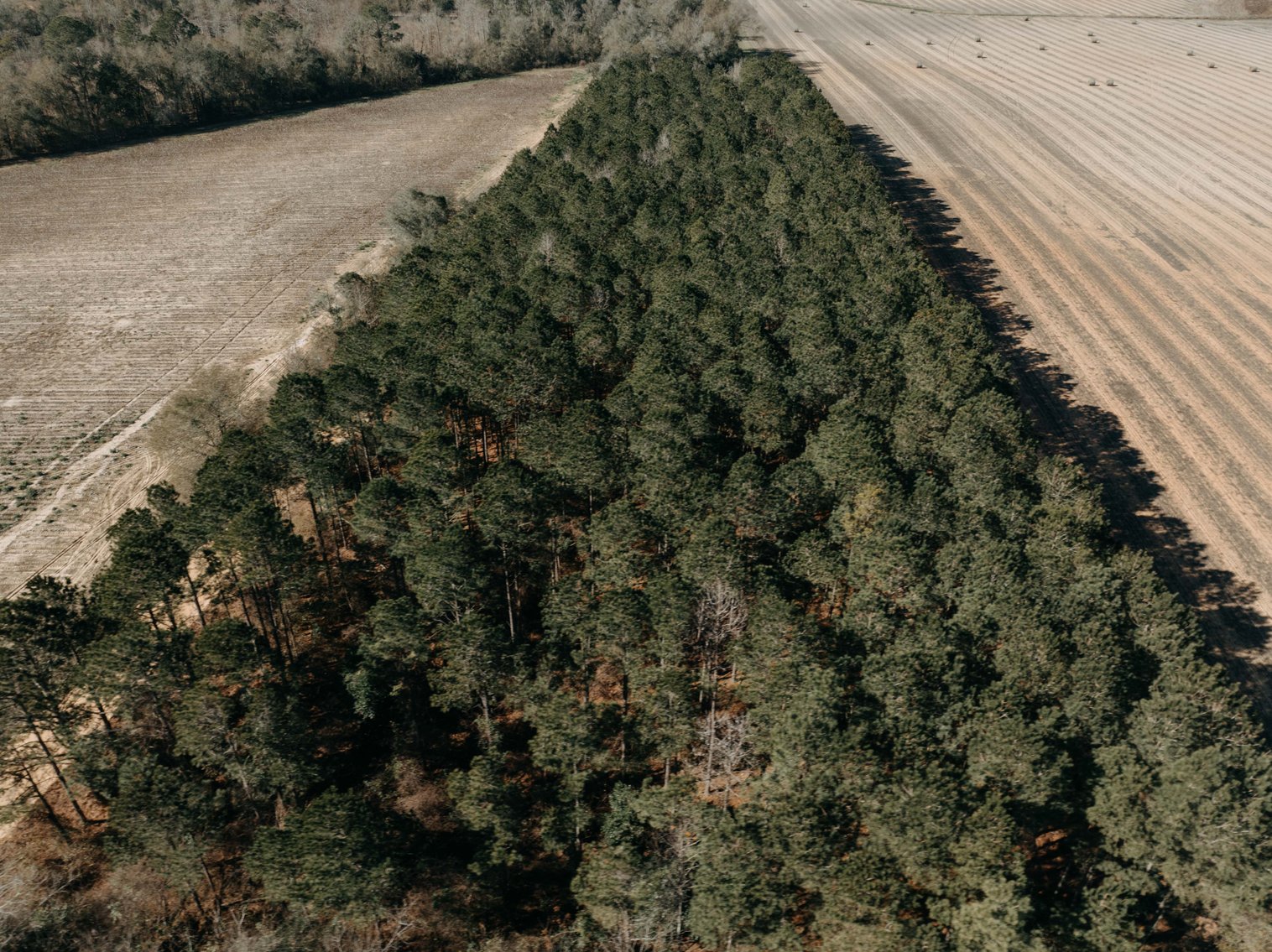 Image for *SOLD* 365.4 +/- Acres of Prime Baker County Farmland – Agricultural, Timber, and Recreational Opportunities *SOLD*