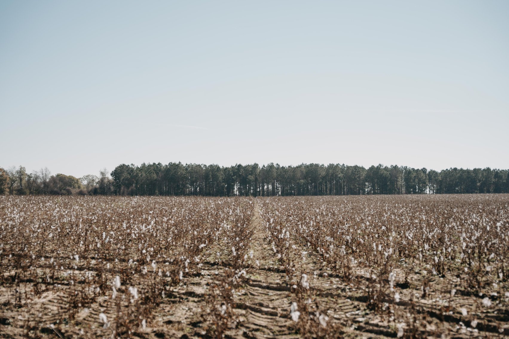 Image for *SOLD* 365.4 +/- Acres of Prime Baker County Farmland – Agricultural, Timber, and Recreational Opportunities *SOLD*