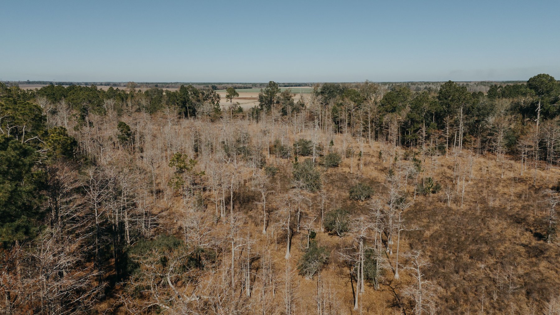 Image for *SOLD* 365.4 +/- Acres of Prime Baker County Farmland – Agricultural, Timber, and Recreational Opportunities *SOLD*