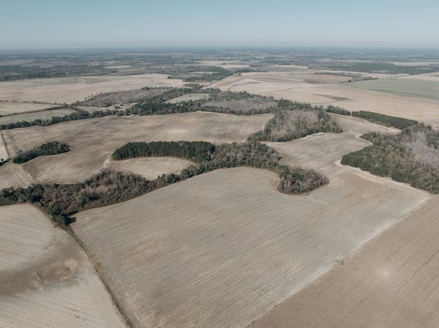 Image for *SOLD* 365.4 +/- Acres of Prime Baker County Farmland – Agricultural, Timber, and Recreational Opportunities *SOLD*