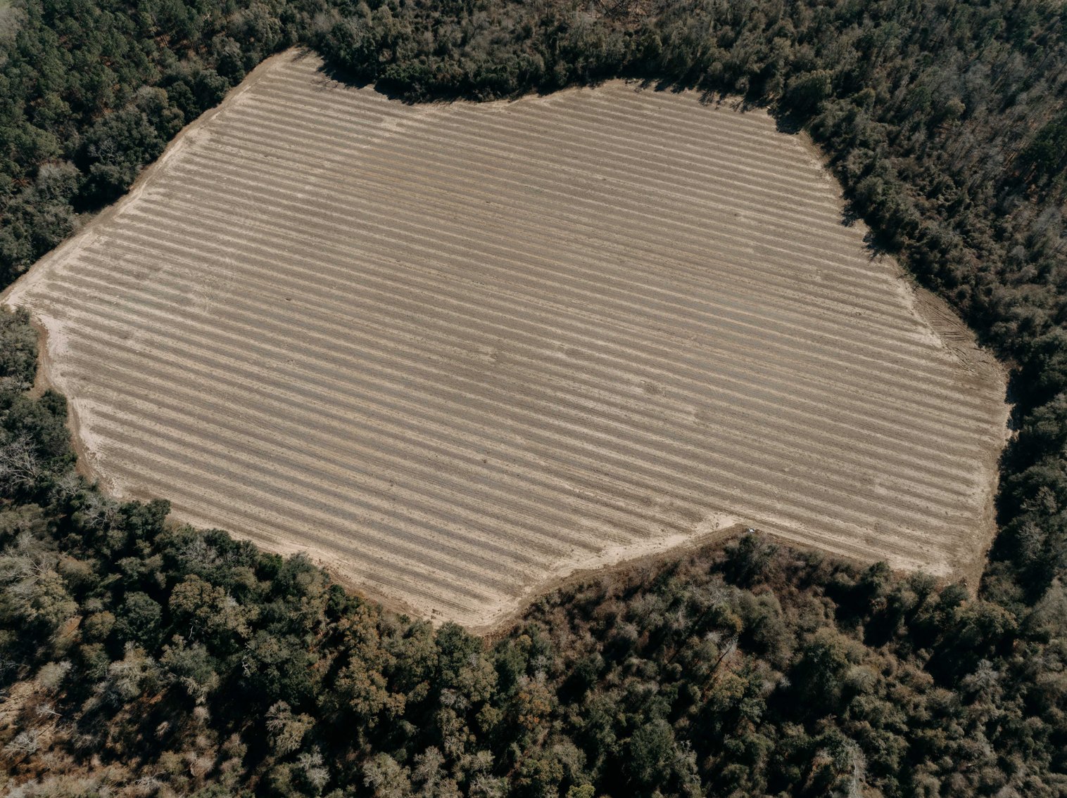 Image for *SOLD* 365.4 +/- Acres of Prime Baker County Farmland – Agricultural, Timber, and Recreational Opportunities *SOLD*