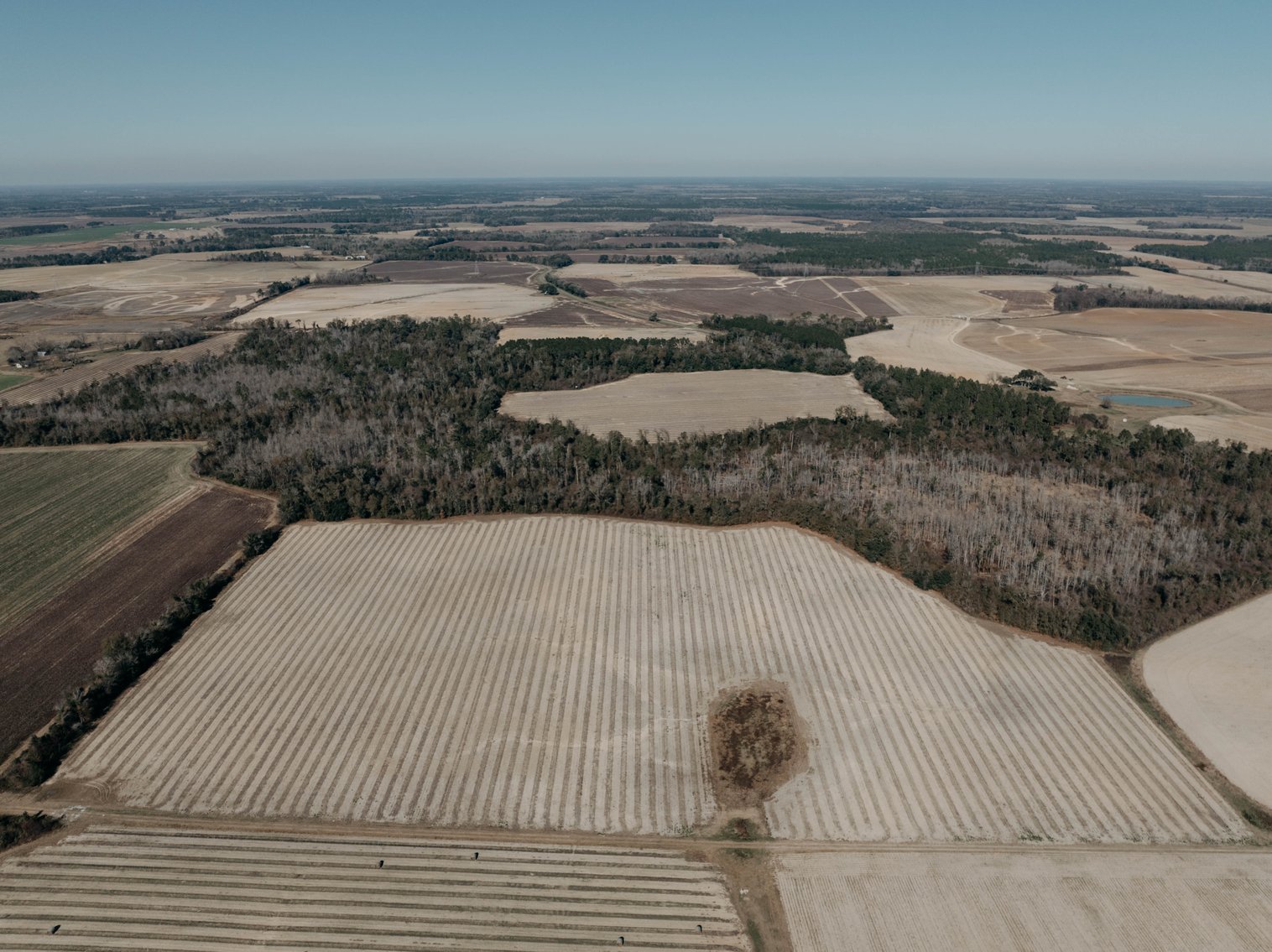 Image for *SOLD* 365.4 +/- Acres of Prime Baker County Farmland – Agricultural, Timber, and Recreational Opportunities *SOLD*