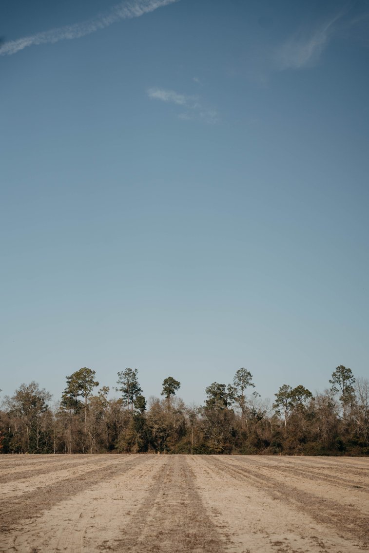 Image for *SOLD* 365.4 +/- Acres of Prime Baker County Farmland – Agricultural, Timber, and Recreational Opportunities *SOLD*